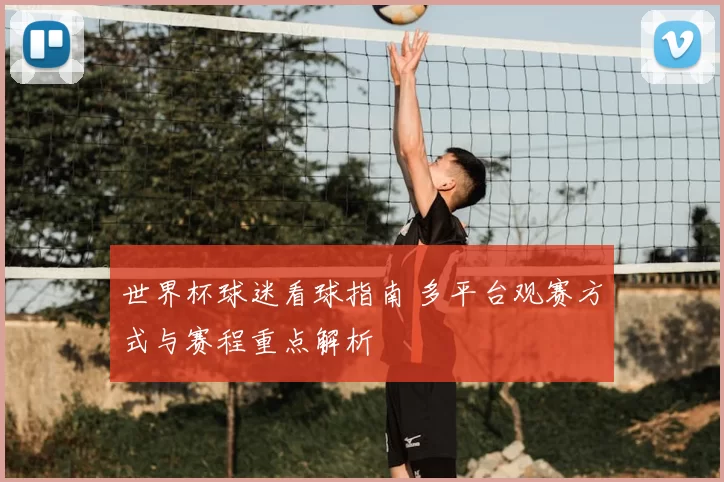 世界杯球迷看球指南 多平台观赛方式与赛程重点解析