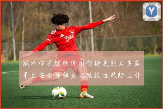 欧洲杯买球软件排行榜更新后多家平台安全评级分化致投注风险上升