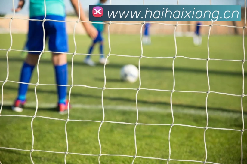 必威(betway·西汉姆联)官方网站 - West Ham United品牌故事
