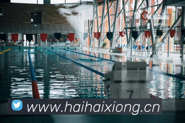 多媒体互动体验